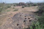 photo thumbnail #3