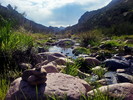 photo thumbnail #9