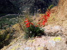photo thumbnail #15