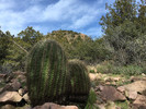 photo thumbnail #6