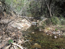 photo thumbnail #13
