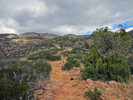 photo thumbnail #7