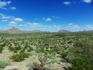 photo thumbnail #3