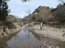 photo thumbnail #7