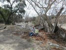 photo thumbnail #8