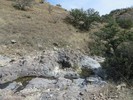 photo thumbnail #11