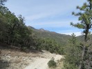photo thumbnail #13