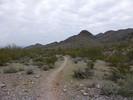 photo thumbnail #8