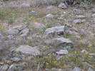 photo thumbnail #12