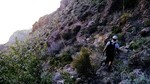 photo thumbnail #12