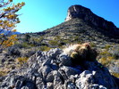 photo thumbnail #1