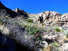photo thumbnail #9