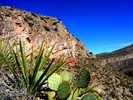 photo thumbnail #10