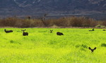 photo thumbnail #3