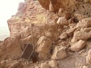 photo thumbnail #7