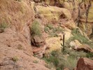 photo thumbnail #15