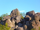 photo thumbnail #11