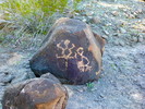 photo thumbnail #14