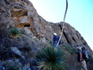 photo thumbnail #6