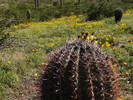 photo thumbnail #11