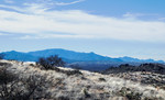 photo thumbnail #8