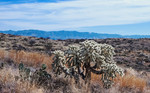photo thumbnail #9