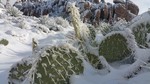 photo thumbnail #12