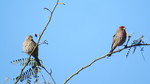 photo thumbnail #14