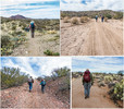 photo thumbnail #13