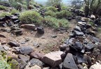 photo thumbnail #8