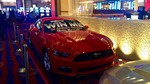 photo thumbnail #5