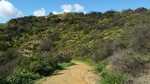photo thumbnail #6