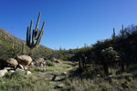 photo thumbnail #4