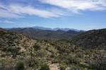 photo thumbnail #8