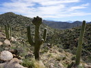 photo thumbnail #9