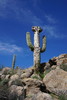 photo thumbnail #10