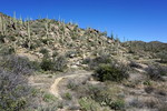 photo thumbnail #13