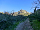 photo thumbnail #7