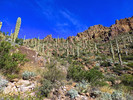 photo thumbnail #10