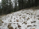 photo thumbnail #1