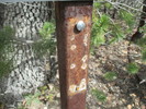 photo thumbnail #9