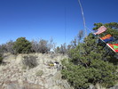 photo thumbnail #2