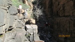 photo thumbnail #13