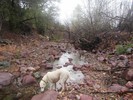 photo thumbnail #5