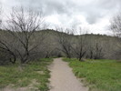 photo thumbnail #2
