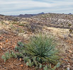 photo thumbnail #9