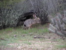 photo thumbnail #7