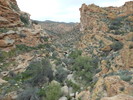 photo thumbnail #10