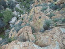 photo thumbnail #11