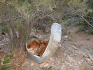 photo thumbnail #13